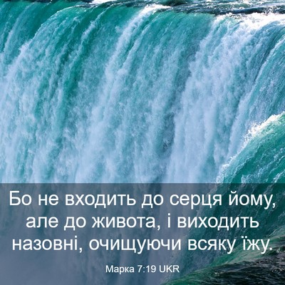 Picture 03 - Марка 7:19 UKR - Бо не входить до серця - Bible Verse Picture