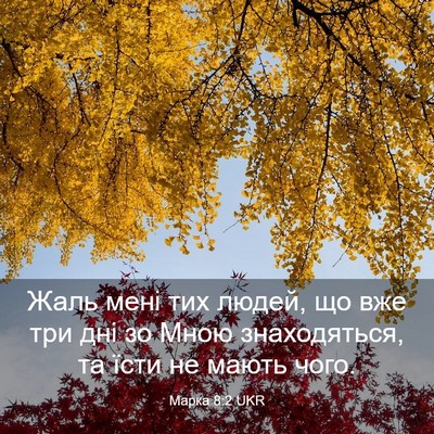 Picture 03 - Марка 8:2 UKR - Жаль мені тих людей, що вже - Bible Verse Picture