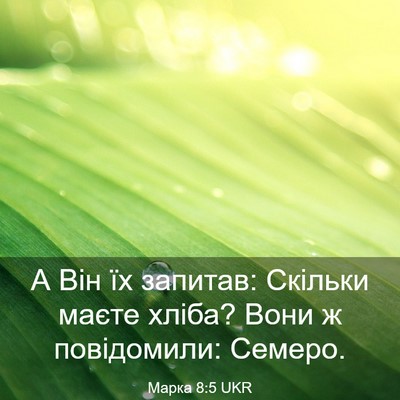 Picture 03 - Марка 8:5 UKR - А Він їх запитав: Скільки - Bible Verse Picture