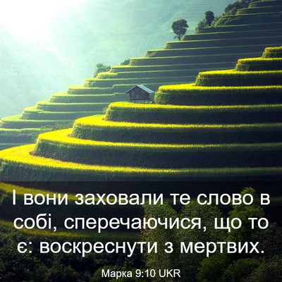 Picture 03 - Марка 9:10 UKR - І вони заховали те слово в - Bible Verse Picture