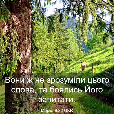 Picture 03 - Марка 9:32 UKR - Вони ж не зрозуміли цього - Bible Verse Picture