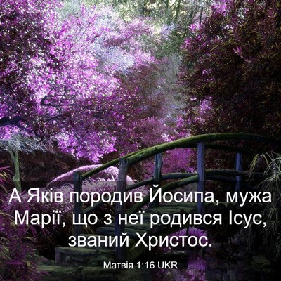 Picture 03 - Матвія 1:16 UKR - А Яків породив Йосипа, мужа - Bible Verse Picture