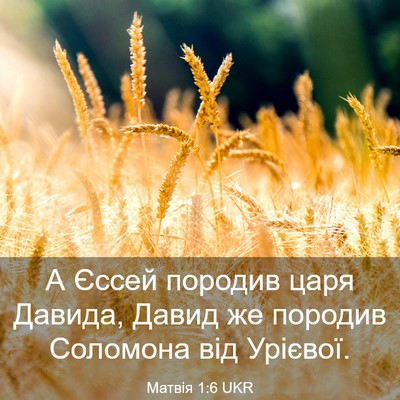 Picture 03 - Матвія 1:6 UKR - А Єссей породив царя - Bible Verse Picture
