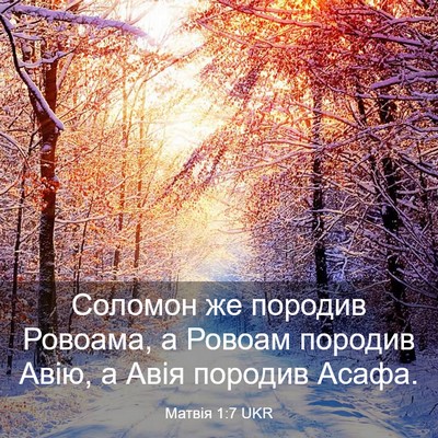 Picture 03 - Матвія 1:7 UKR - Соломон же породив - Bible Verse Picture