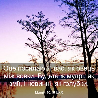 Picture 03 - Матвія 10:16 UKR - Оце посилаю Я вас, як овець - Bible Verse Picture