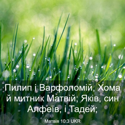 Picture 03 - Матвія 10:3 UKR - Пилип і Варфоломій, Хома й - Bible Verse Picture