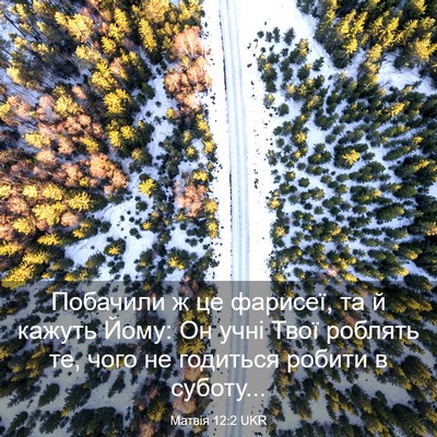 Picture 03 - Матвія 12:2 UKR - Побачили ж це фарисеї, та й - Bible Verse Picture