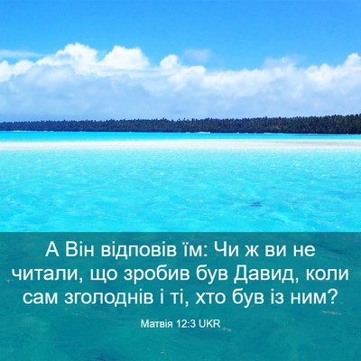 Picture 03 - Матвія 12:3 UKR - А Він відповів їм: Чи ж ви - Bible Verse Picture