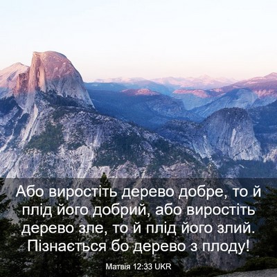 Picture 03 - Матвія 12:33 UKR - Або виростіть дерево - Bible Verse Picture