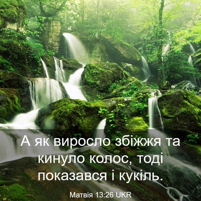 Picture 03 - Матвія 13:26 UKR - А як виросло збіжжя та - Bible Verse Picture