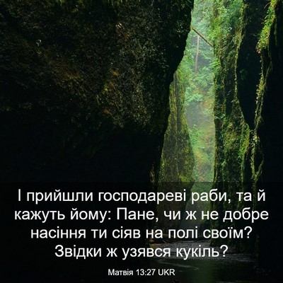 Picture 03 - Матвія 13:27 UKR - І прийшли господареві - Bible Verse Picture