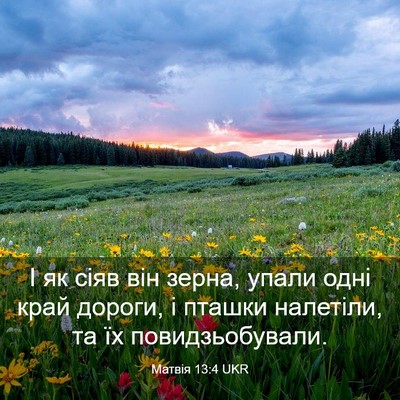 Picture 03 - Матвія 13:4 UKR - І як сіяв він зерна, упали - Bible Verse Picture