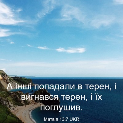 Picture 03 - Матвія 13:7 UKR - А інші попадали в терен, і - Bible Verse Picture