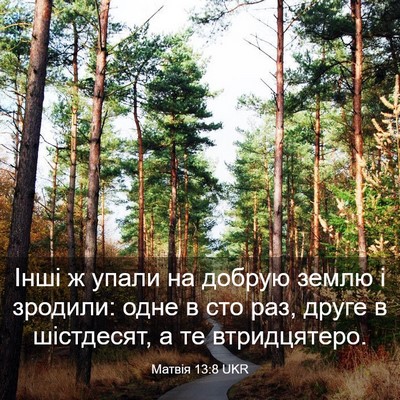 Picture 03 - Матвія 13:8 UKR - Інші ж упали на добрую - Bible Verse Picture