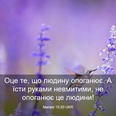 Picture 03 - Матвія 15:20 UKR - Оце те, що людину опоганює. - Bible Verse Picture