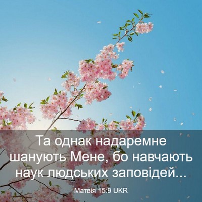 Picture 03 - Матвія 15:9 UKR - Та однак надаремне шанують - Bible Verse Picture