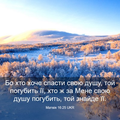 Picture 03 - Матвія 16:25 UKR - Бо хто хоче спасти свою - Bible Verse Picture