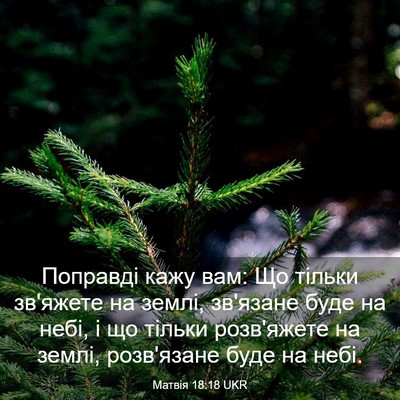 Picture 03 - Матвія 18:18 UKR - Поправді кажу вам: Що - Bible Verse Picture