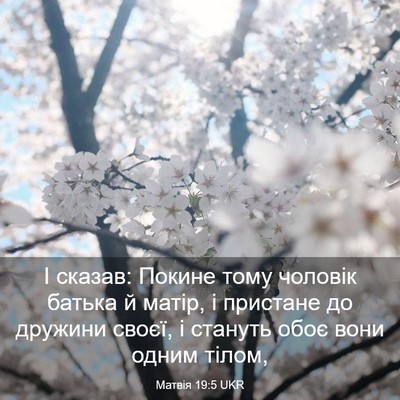 Picture 03 - Матвія 19:5 UKR - І сказав: Покине тому - Bible Verse Picture