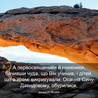 Picture 03 - Матвія 21:15 UKR - А первосвященики й - Bible Verse Picture