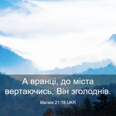 Picture 03 - Матвія 21:18 UKR - А вранці, до міста - Bible Verse Picture
