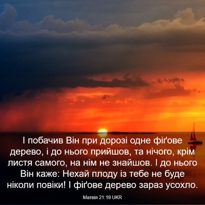 Picture 03 - Матвія 21:19 UKR - І побачив Він при дорозі - Bible Verse Picture