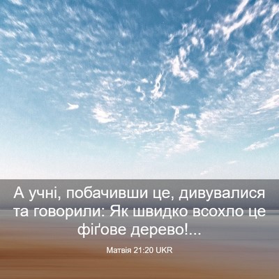 Picture 03 - Матвія 21:20 UKR - А учні, побачивши це, - Bible Verse Picture