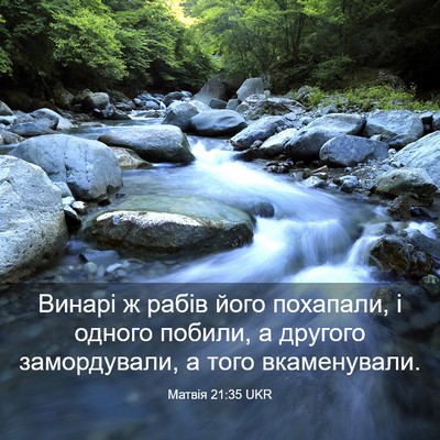 Picture 03 - Матвія 21:35 UKR - Винарі ж рабів його - Bible Verse Picture