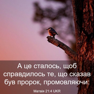 Picture 03 - Матвія 21:4 UKR - А це сталось, щоб - Bible Verse Picture