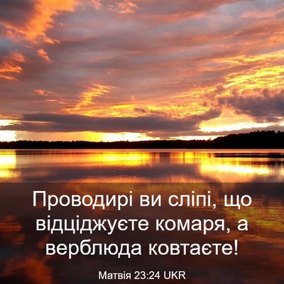 Picture 03 - Матвія 23:24 UKR - Проводирі ви сліпі, що - Bible Verse Picture