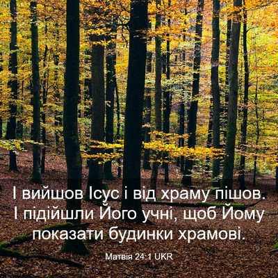 Picture 03 - Матвія 24:1 UKR - І вийшов Ісус і від храму - Bible Verse Picture