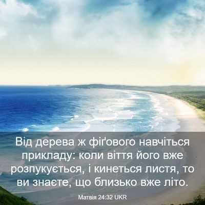 Picture 03 - Матвія 24:32 UKR - Від дерева ж фіґового - Bible Verse Picture