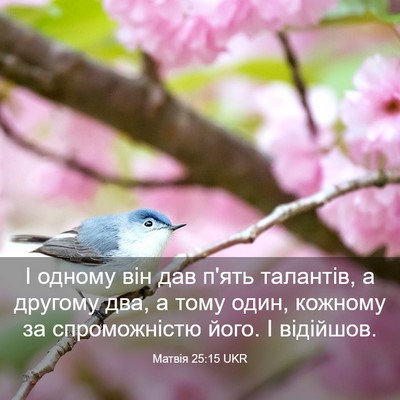 Picture 03 - Матвія 25:15 UKR - І одному він дав п'ять - Bible Verse Picture