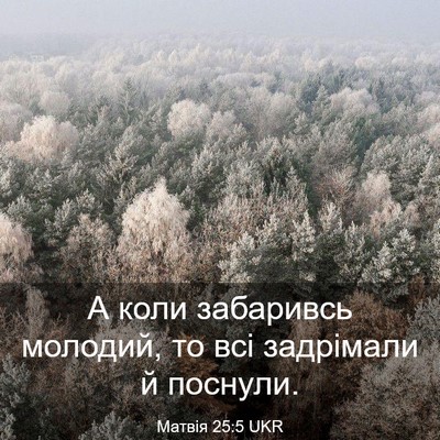 Picture 03 - Матвія 25:5 UKR - А коли забаривсь молодий, - Bible Verse Picture