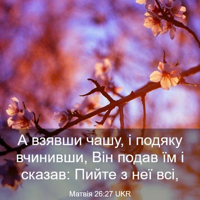 Picture 03 - Матвія 26:27 UKR - А взявши чашу, і подяку - Bible Verse Picture