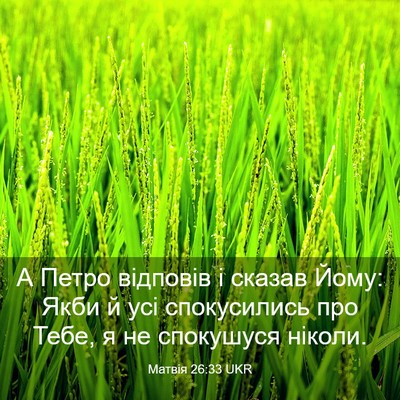Picture 03 - Матвія 26:33 UKR - А Петро відповів і сказав - Bible Verse Picture