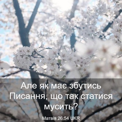 Picture 03 - Матвія 26:54 UKR - Але як має збутись Писання, - Bible Verse Picture
