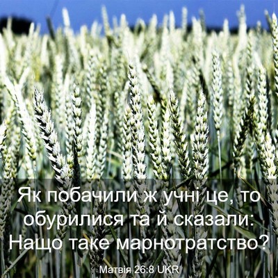 Picture 03 - Матвія 26:8 UKR - Як побачили ж учні це, то - Bible Verse Picture