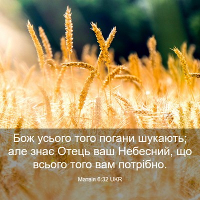 Picture 03 - Матвія 6:32 UKR - Бож усього того погани - Bible Verse Picture