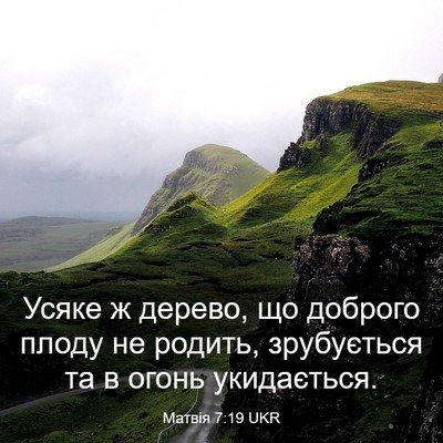 Picture 03 - Матвія 7:19 UKR - Усяке ж дерево, що доброго - Bible Verse Picture