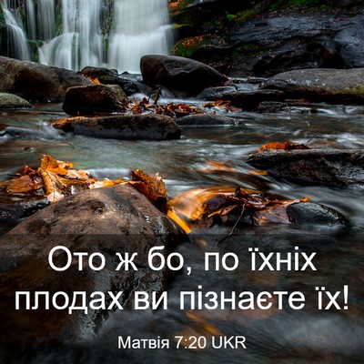Picture 03 - Матвія 7:20 UKR - Ото ж бо, по їхніх плодах ви - Bible Verse Picture
