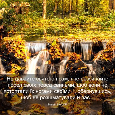 Picture 03 - Матвія 7:6 UKR - Не давайте святого псам, і - Bible Verse Picture