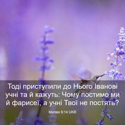 Picture 03 - Матвія 9:14 UKR - Тоді приступили до Нього - Bible Verse Picture