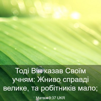 Picture 03 - Матвія 9:37 UKR - Тоді Він казав Своїм учням: - Bible Verse Picture