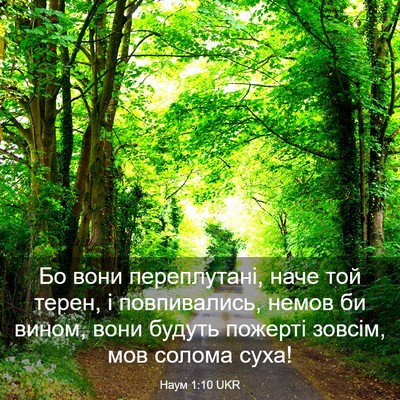 Picture 03 - Наум 1:10 UKR - Бо вони переплутані, наче - Bible Verse Picture