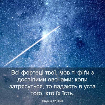 Picture 03 - Наум 3:12 UKR - Всі фортеці твої, мов ті - Bible Verse Picture