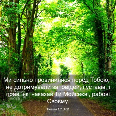 Picture 03 - Неемія 1:7 UKR - Ми сильно провинилися - Bible Verse Picture