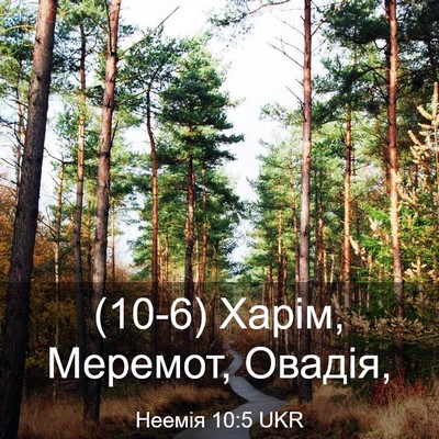 Picture 03 - Неемія 10:5 UKR - (10-6) Харім, Меремот, - Bible Verse Picture