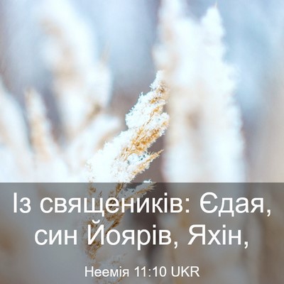 Picture 03 - Неемія 11:10 UKR - Із священиків: Єдая, син - Bible Verse Picture