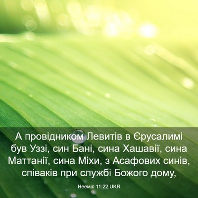 Picture 03 - Неемія 11:22 UKR - А провідником Левитів в - Bible Verse Picture
